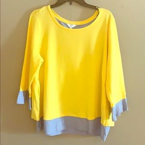 Yellow Chambray Crown & Ivy Top